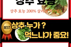 상추 궁합 음식 모르면 손해! 상추와 먹으면 좋은 음식 BEST 3