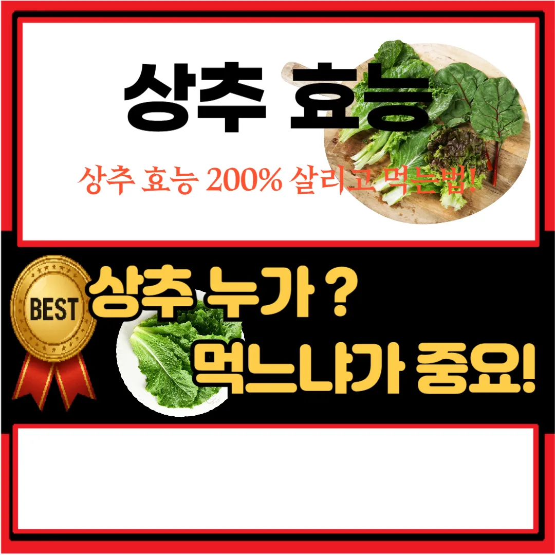 상추 궁합 음식 모르면 손해! 상추와 먹으면 좋은 음식 BEST 3