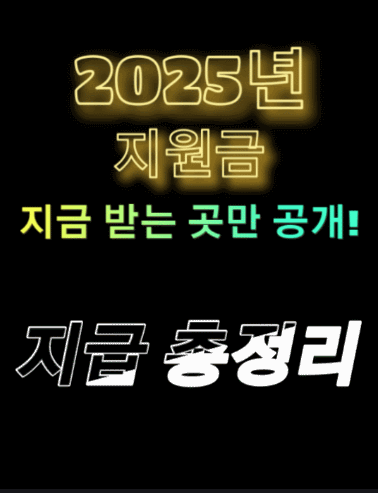 2025년 현재, 여기서만 돈 줘?! 놓치면 손해보는 민생회복지원금 총정리