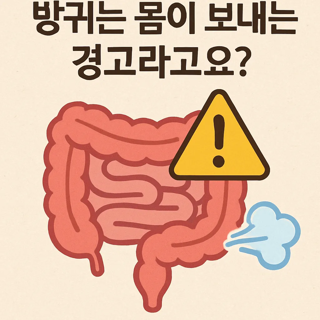 방귀 자주 뀌는데 괜찮은 걸까?제발 무시하지 마세요!